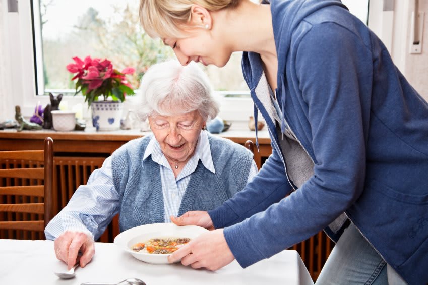 ComForCare Home Care - Portage,  IN