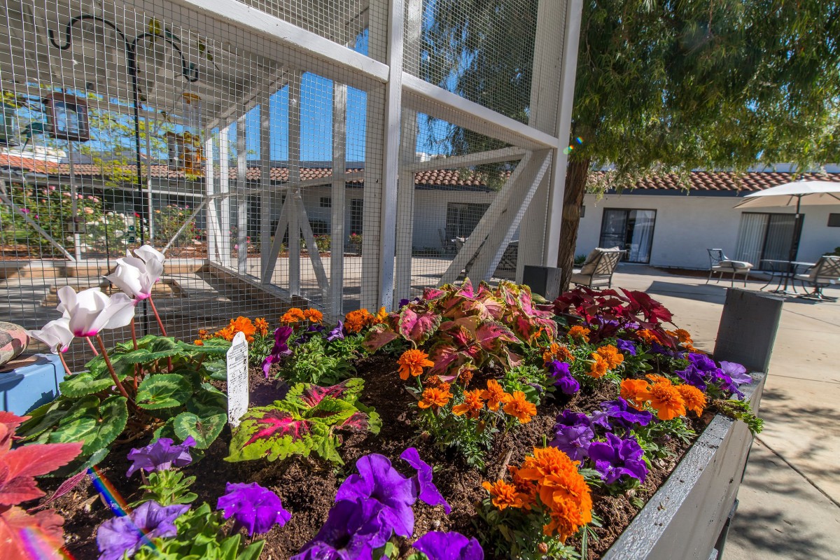 A vibrant garden with colorful flowers in an outdoor setting, complemented by modern architectural elements.