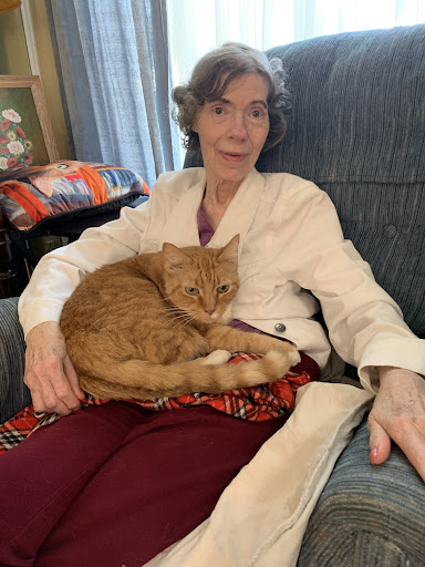 A serene moment shared between a person and their orange cat on a cozy couch.