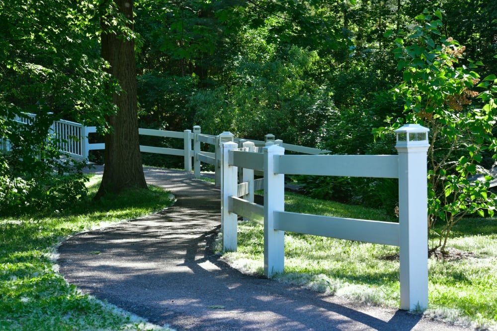 A serene pathway lined with a white fence and surrounded by lush green trees.