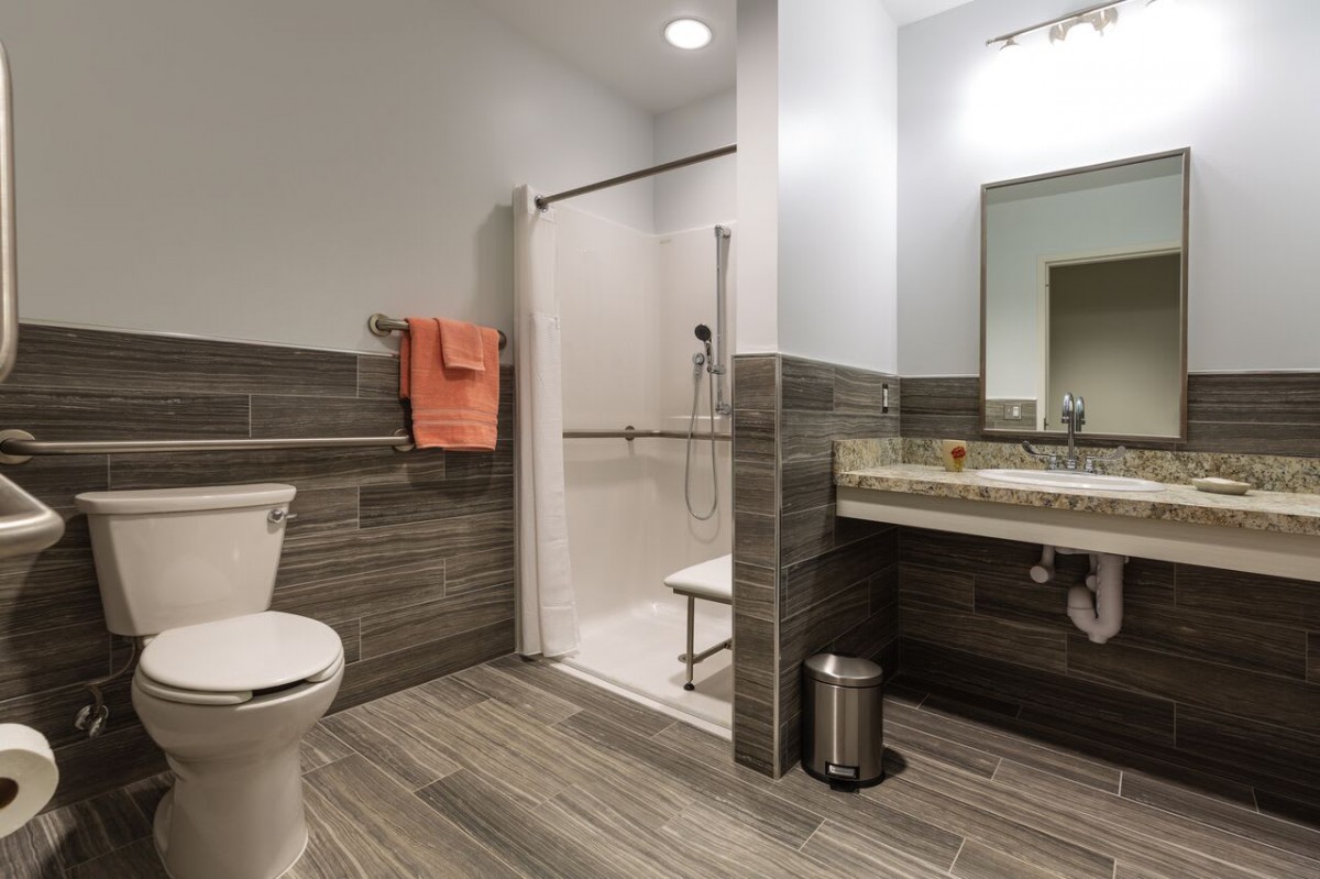 A modern bathroom featuring a walk-in shower, toilet, and a vanity with a large mirror.