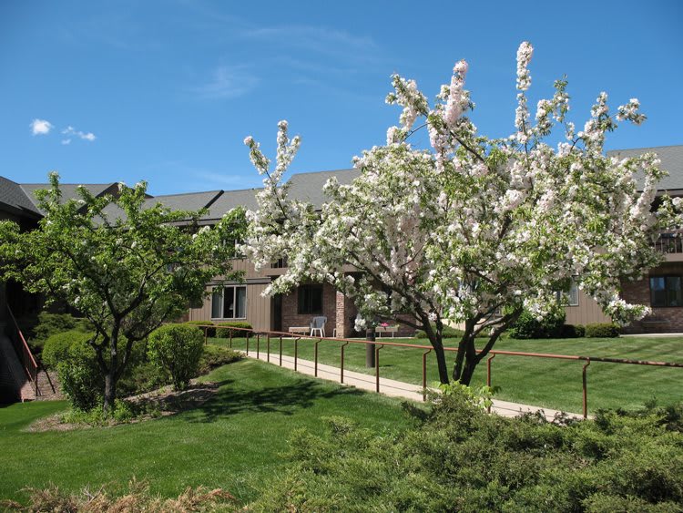 A house with a lush garden and blooming trees under a clear blue sky.