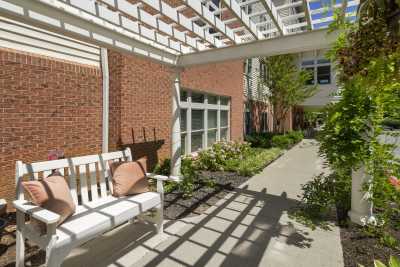 A tranquil outdoor seating area with a bench and pergola, surrounded by greenery and casting intricate shadows.