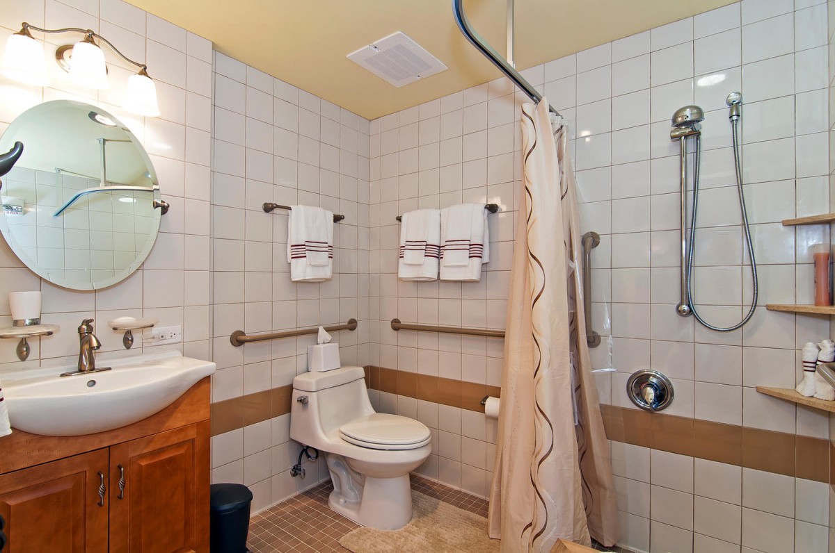 An accessible bathroom with a toilet, shower, and grab bars.