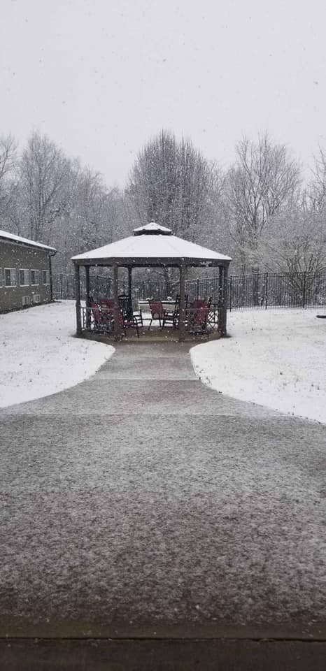 A snowy scene with a gazebo surrounded by trees and a nearby building.