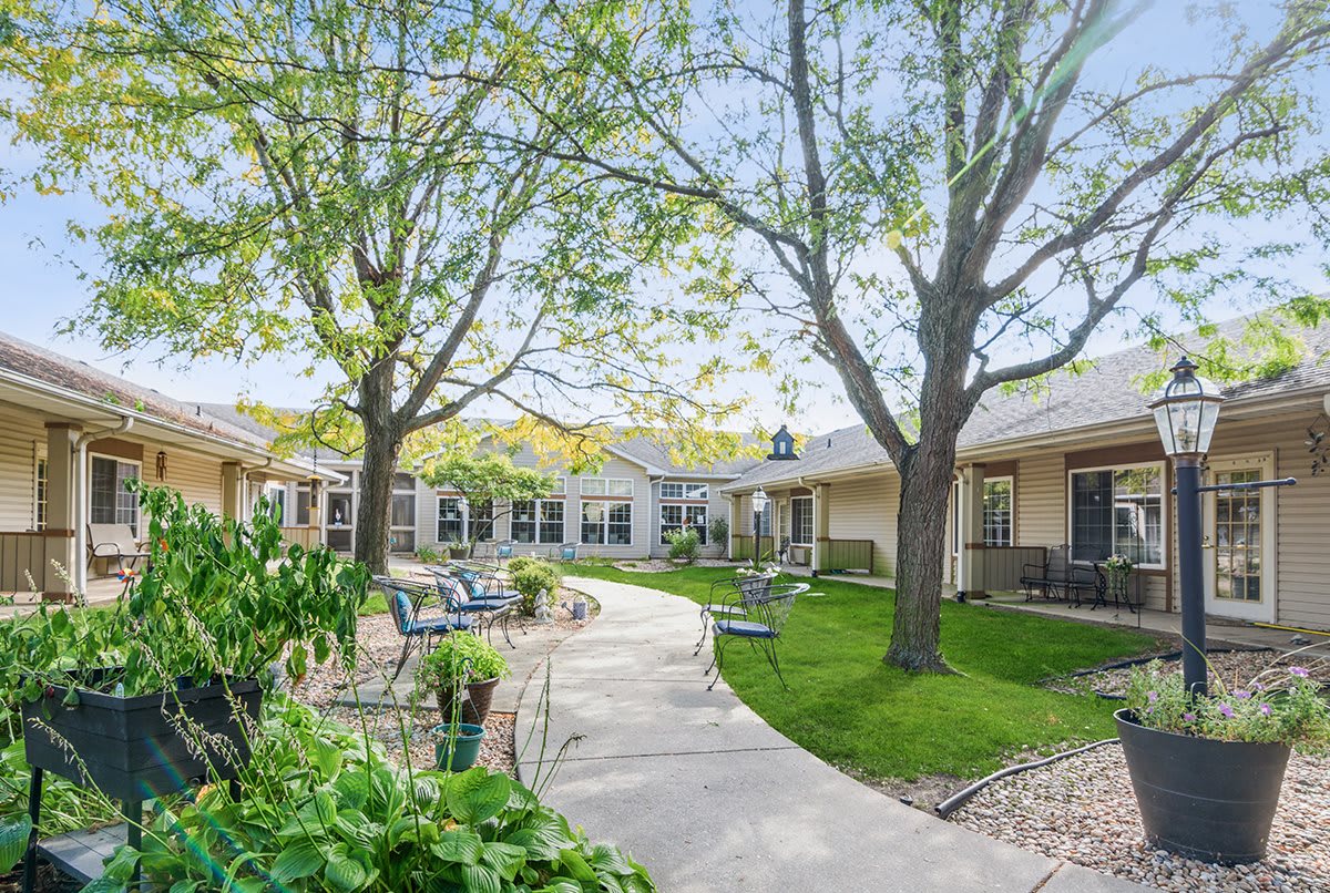 A peaceful courtyard with trees and a winding pathway lined with chairs.