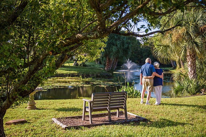 An elderly couple enjoys a peaceful moment by the lake, standing near a bench under a tree in a park.