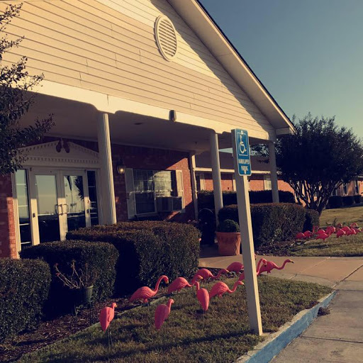 A sunny day at a building with decorative flamingos in the landscaped area.