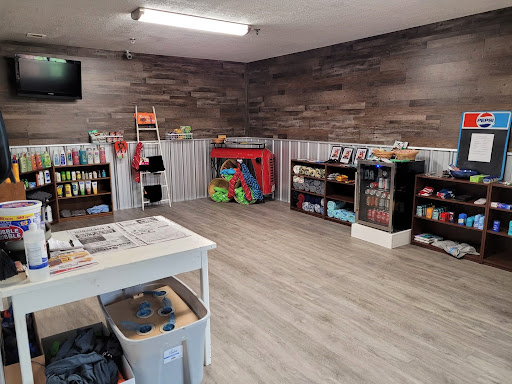 A cozy space featuring organized shelves, a play area, and a warm wooden ambiance.