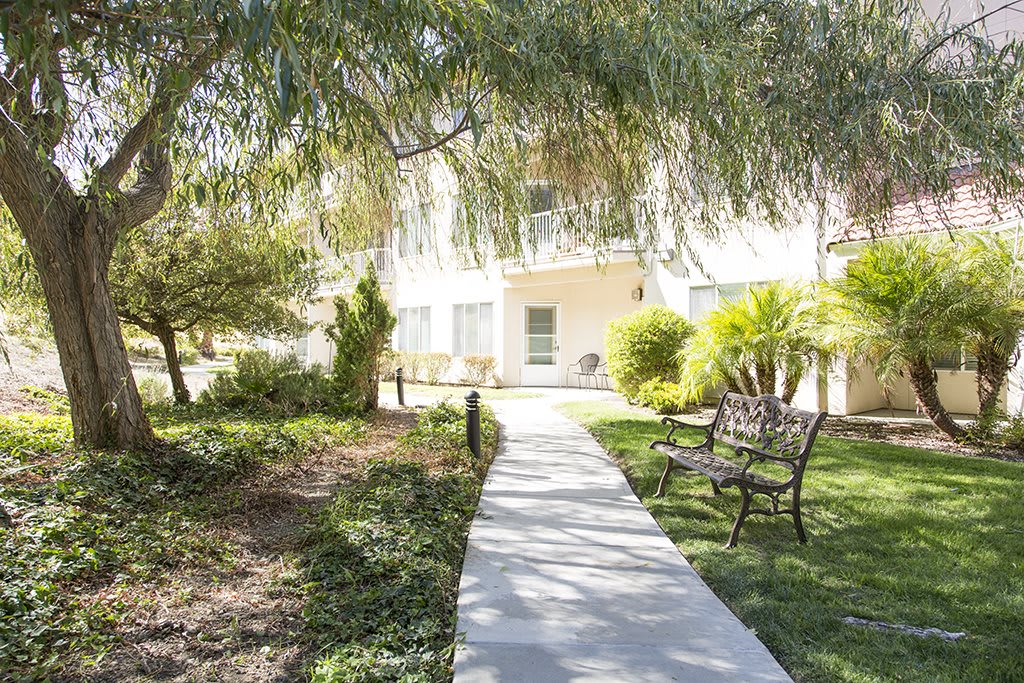 A sunny garden pathway with a bench surrounded by greenery.