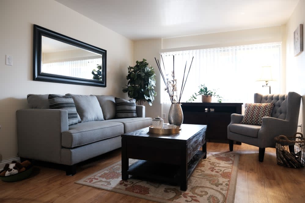 A modern living room featuring a gray sofa, a coffee table, and decorative elements like plants and a large mirror.