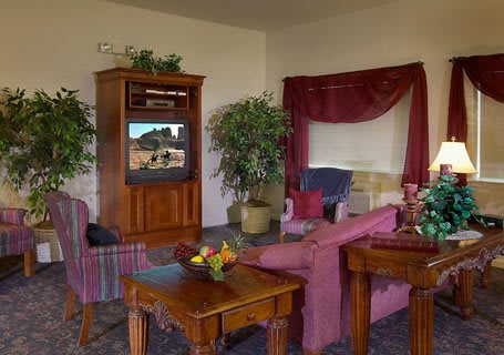 A cozy living room featuring a television, sofa, and indoor plants.
