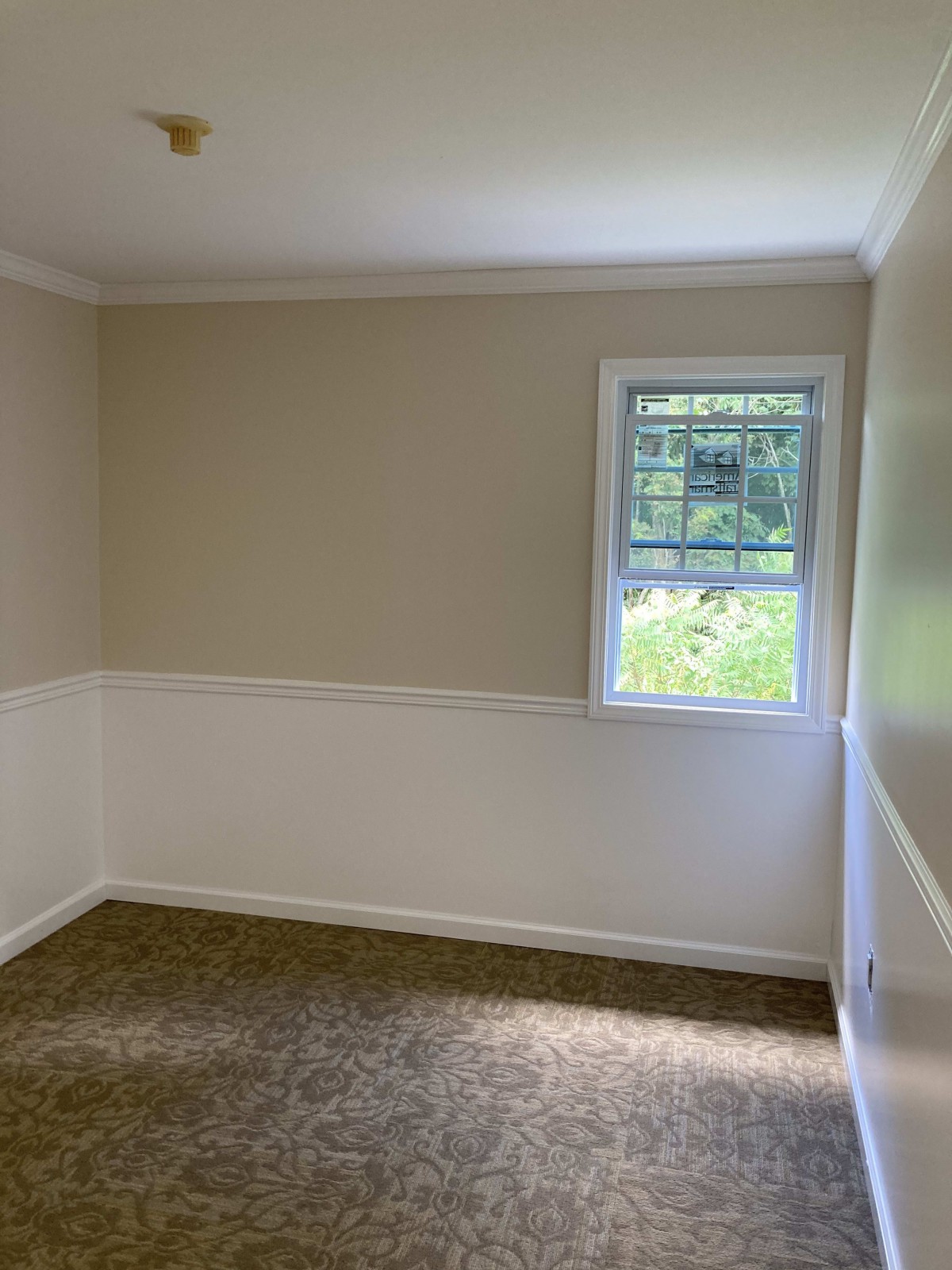 An empty room with beige walls, white trim, and a carpeted floor featuring a window with greenery outside.