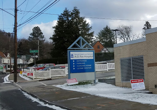 Aurelia Osborn Fox Memorial Hospital