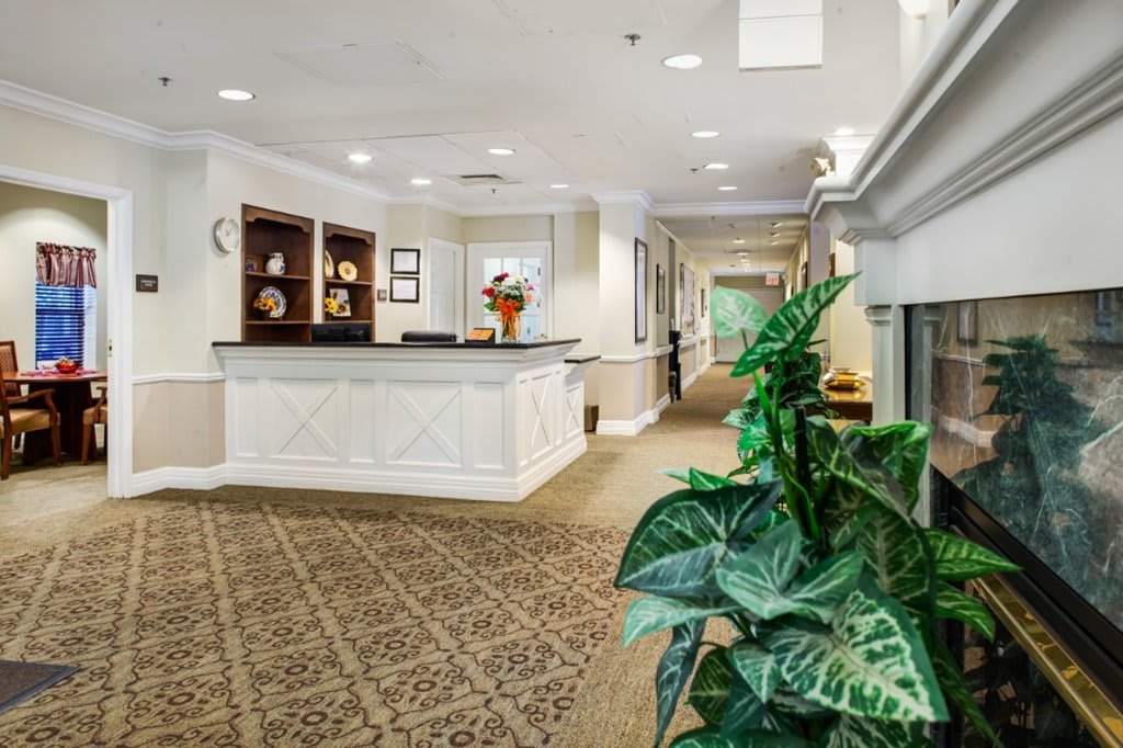 A welcoming reception area with a desk, carpet, and plants.