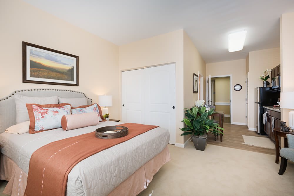 A well-decorated bedroom with a large bed, modern furniture, and vibrant plants.