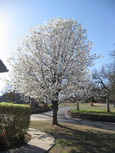 Autumn Hill Manor