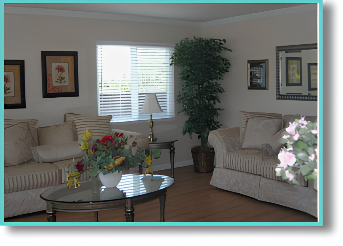 A cozy living room with sofas, a coffee table, and decorative plants.