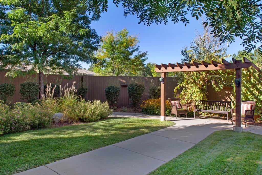 A tranquil garden setting with a pergola and bench surrounded by lush greenery.