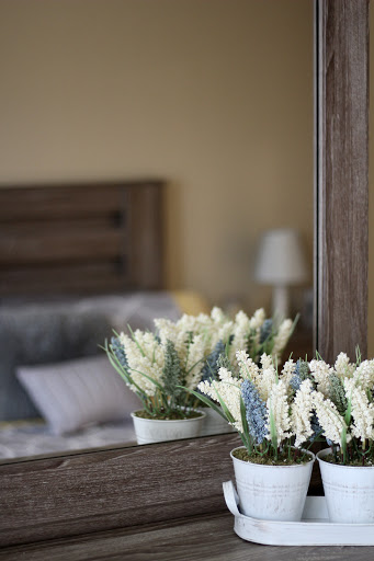 A serene reflection of a beautifully decorated bedroom featuring potted flowers in front of a mirror.