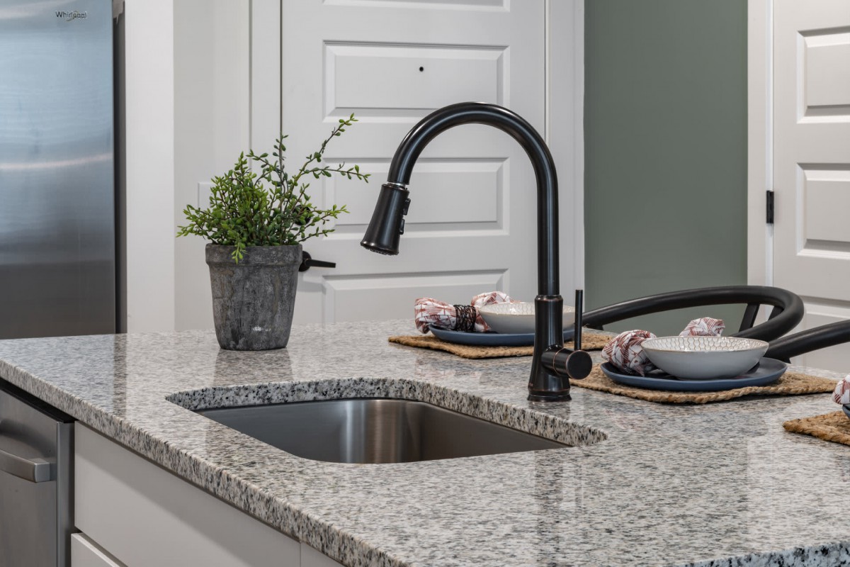 A modern kitchen with a sleek black faucet over a granite countertop, featuring an indoor plant and neatly set dishes.