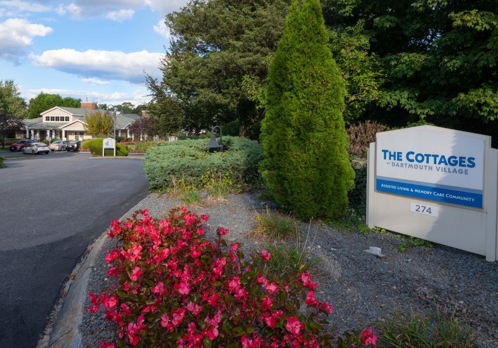 A scenic view of a garden with vibrant red flowers and a sign in the background.