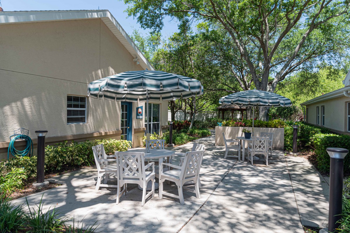 An inviting outdoor patio area with tables, chairs, and umbrellas, surrounded by lush greenery and trees.