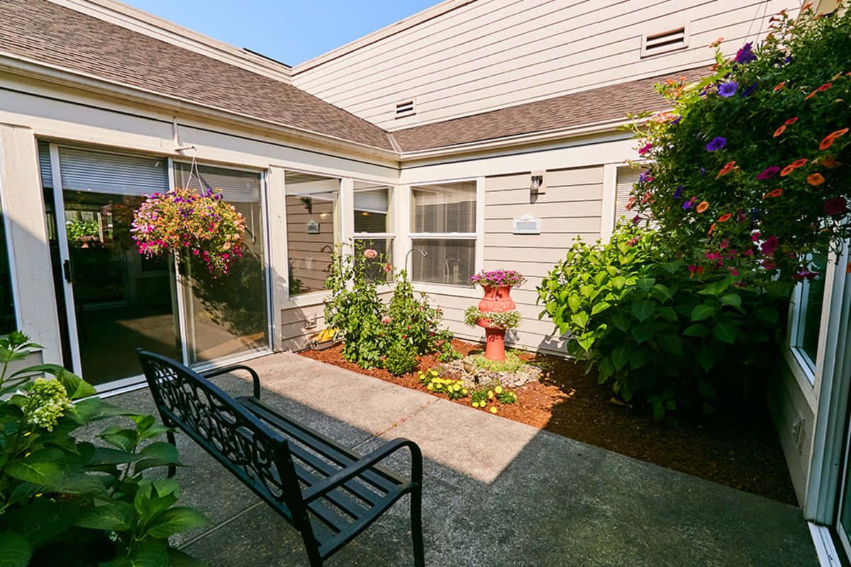 A sunny courtyard garden with a bench surrounded by lush plants and colorful flowers.