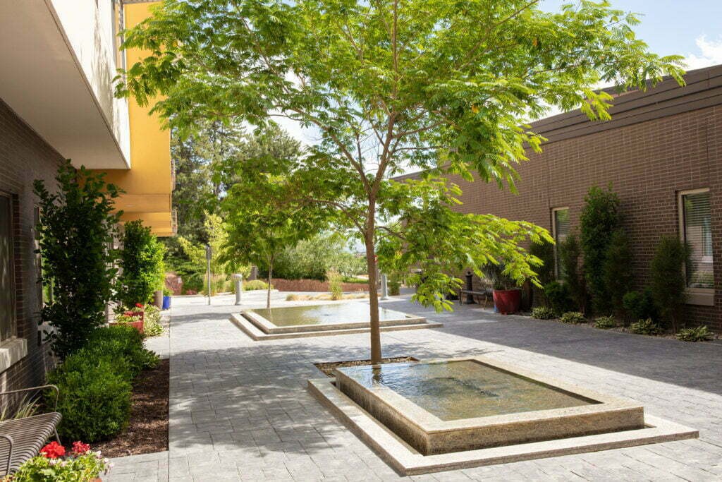 A serene urban courtyard with trees and water features.
