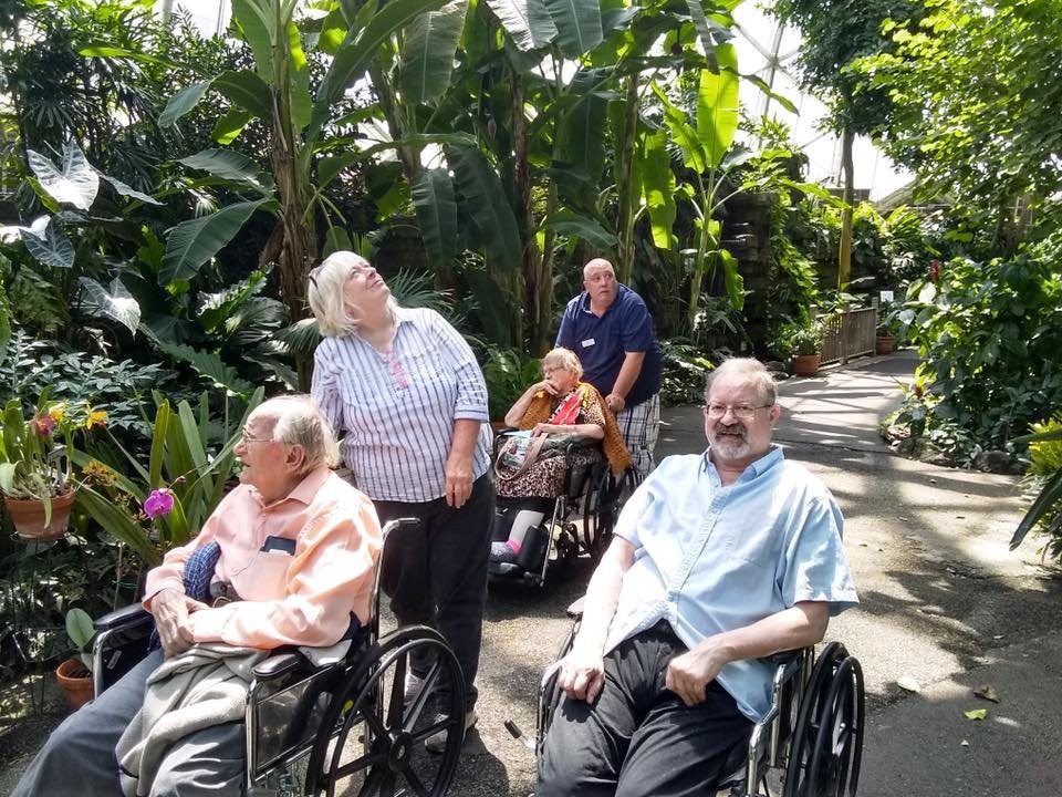 A group of elderly individuals in wheelchairs enjoying a day out in an indoor garden.