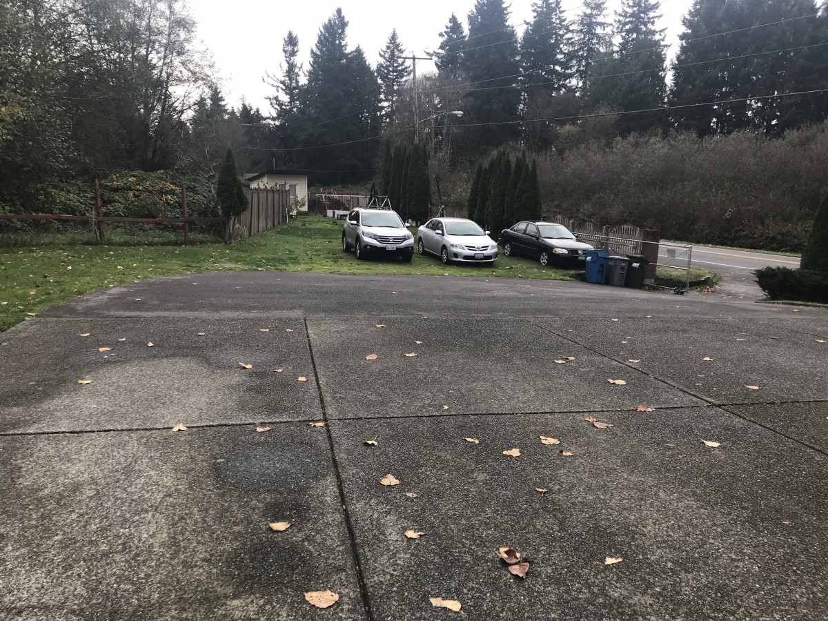 A driveway with parked cars surrounded by trees on an overcast day.