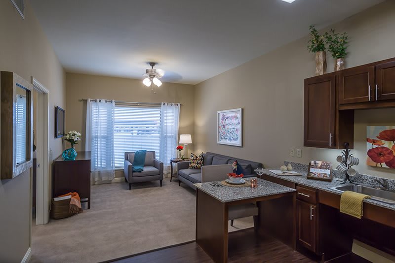 A cozy living room with modern decor and comfortable furnishings.