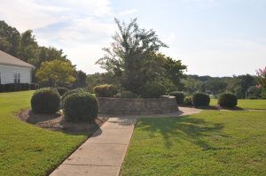 A scenic view of a park with a pathway surrounded by trees and greenery.