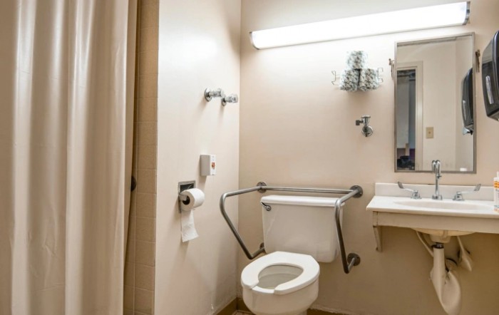An accessible bathroom with a toilet featuring handrails, a sink, and a mirror.