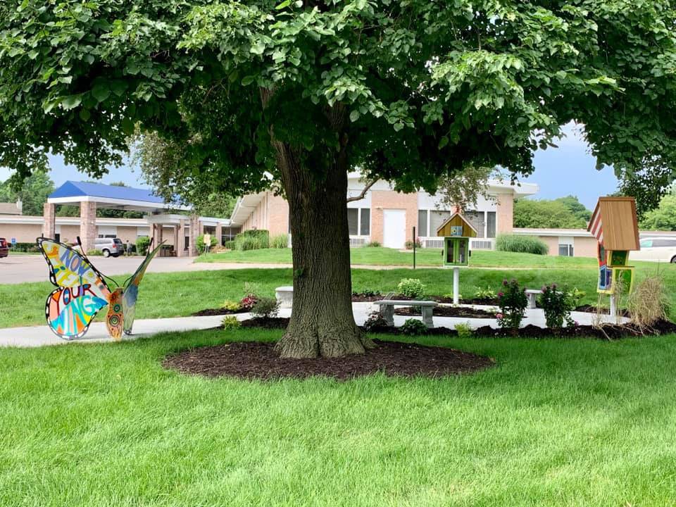 A well-maintained yard featuring a large tree surrounded by mulch and greenery.
