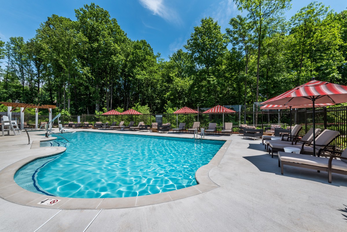 A serene outdoor swimming pool surrounded by trees and equipped with lounge chairs and umbrellas on a sunny day.