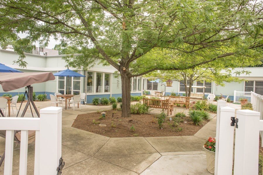 A peaceful courtyard with a central tree and outdoor seating areas.