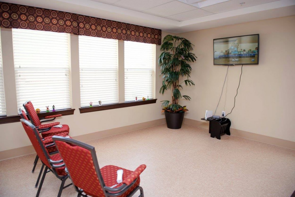 A cozy waiting room with chairs, a television, and a potted plant by the window.