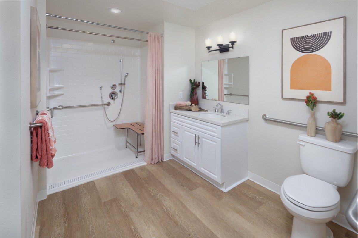 Modern accessible bathroom with a shower, grab bars, and wooden flooring.