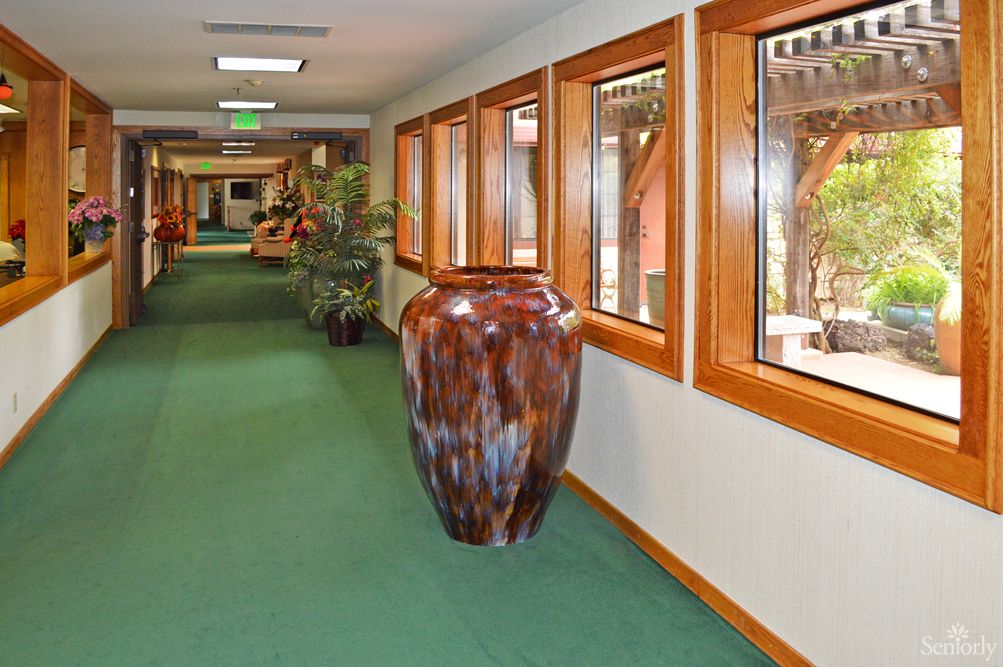 A hallway with a large decorative vase, green carpet, and windows along the side.