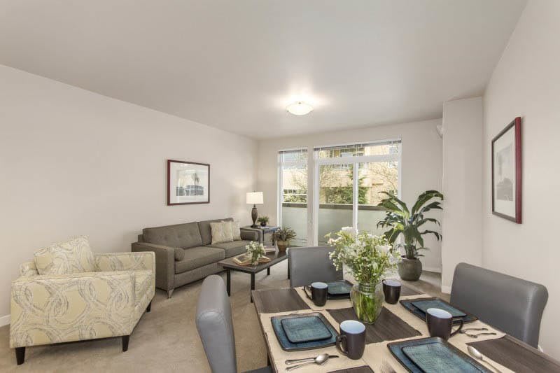 A modern and cozy living and dining area with stylish furniture and decorative plants.