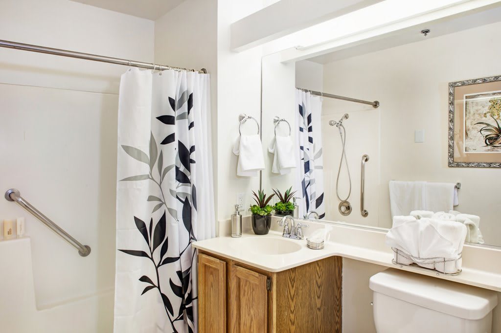 A bright and clean bathroom interior with a decorative shower curtain, vanity, and plants.