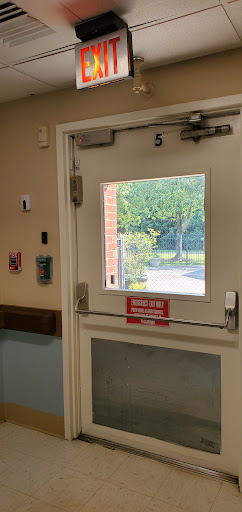 A view through a door with a window, showcasing the outdoor greenery.