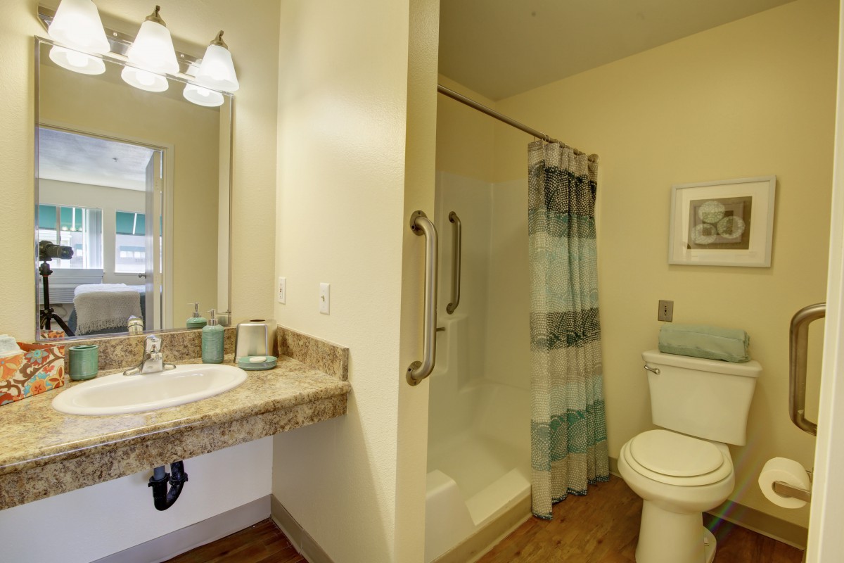 A modern bathroom featuring a shower, sink with a countertop, and a toilet.