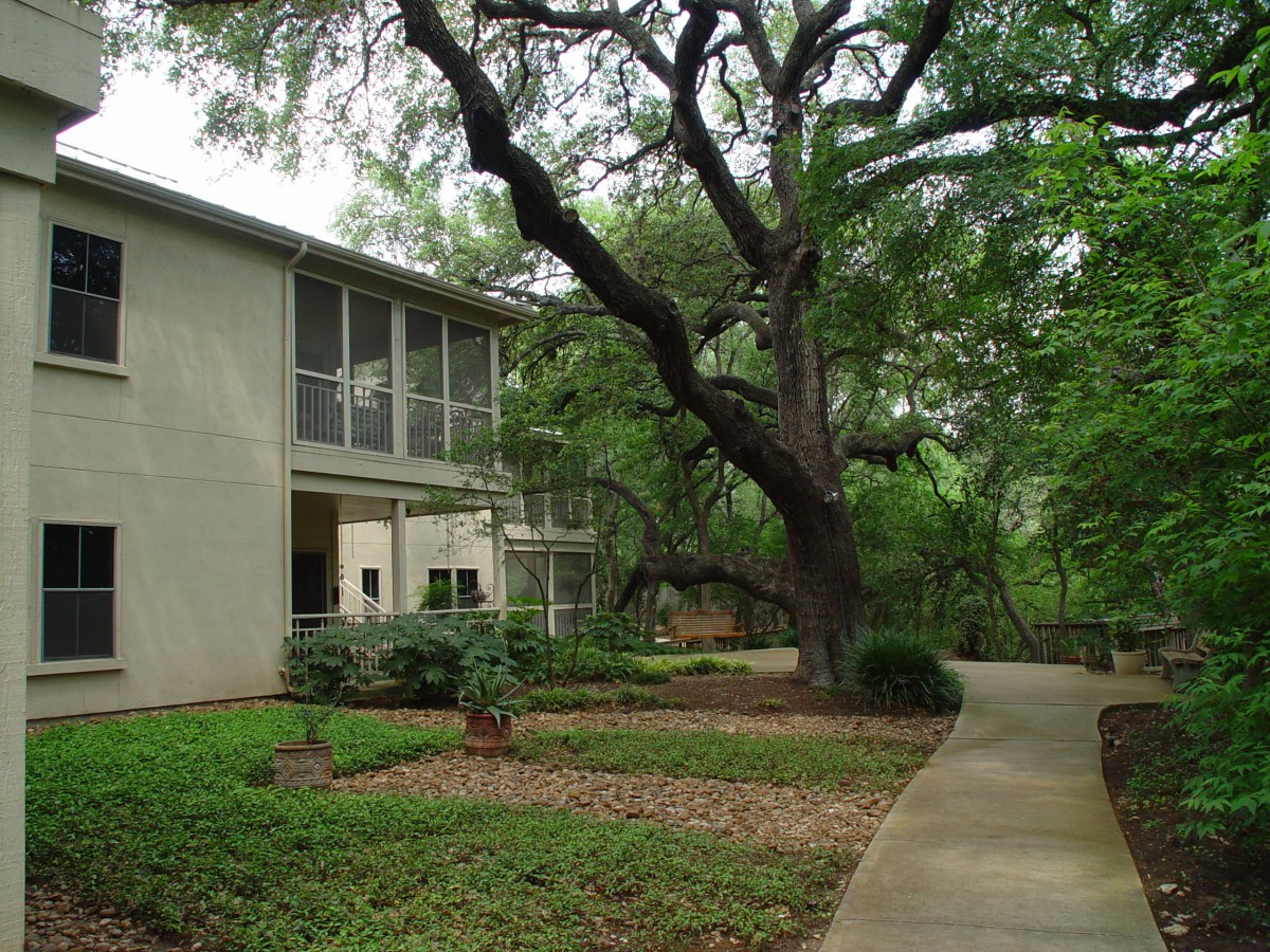 A serene view of a building surrounded by lush greenery and a winding pathway.