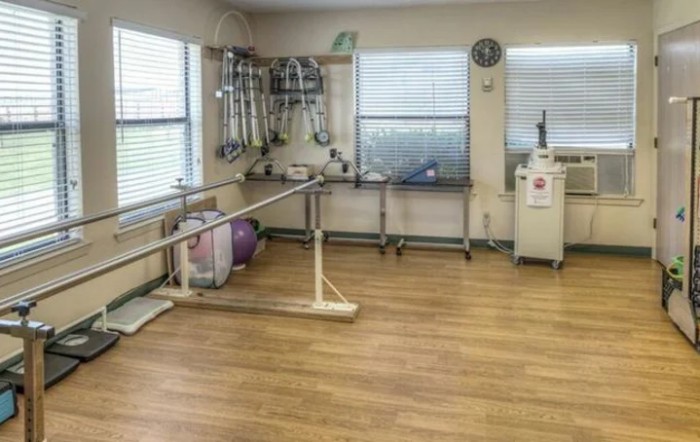 Hallettsville Rehabilitation And Nursing Center