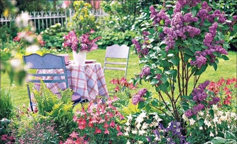 Lilac View