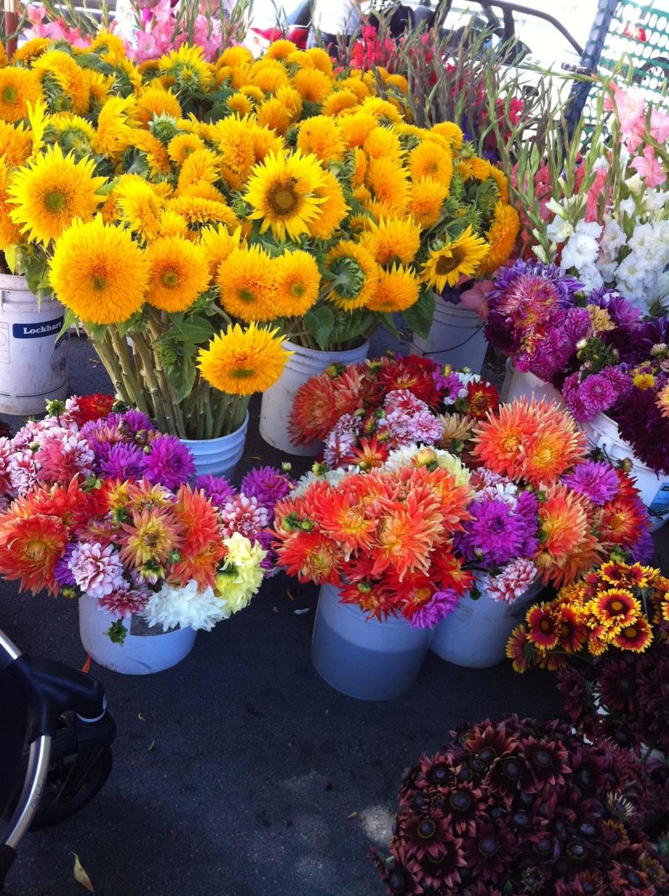 A vibrant display of colorful flower bouquets, featuring sunflowers and assorted blooms at a market.