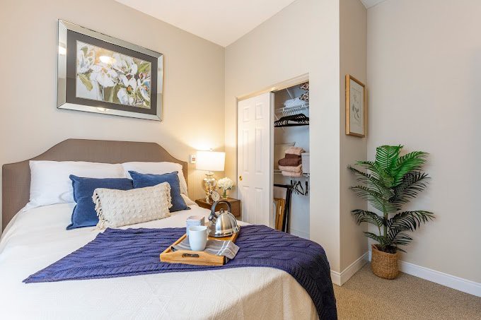 A cozy bedroom with blue accents, featuring a neatly made bed, a lamp on the nightstand, and a green plant for decoration.