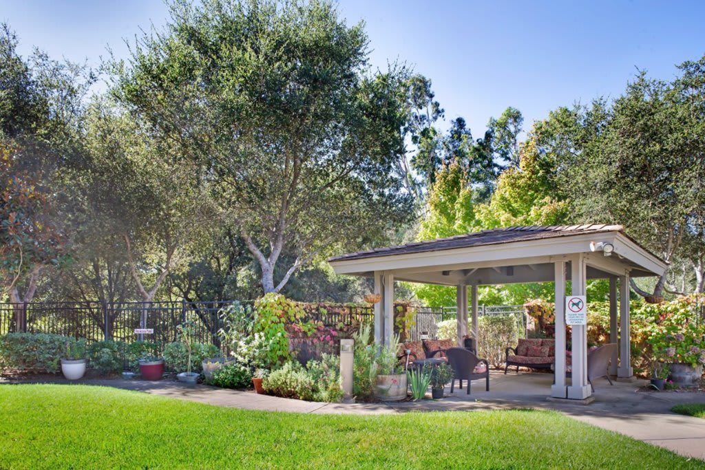 A peaceful garden with a gazebo surrounded by lush greenery and tall trees.